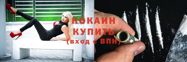 твердый Дмитров