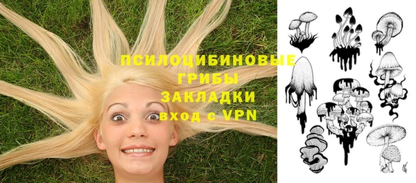 герыч Гусев