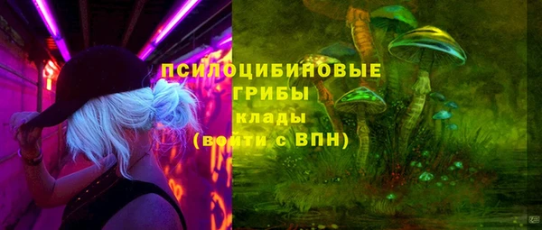 a pvp Дмитриев