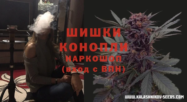 apvp Дмитровск