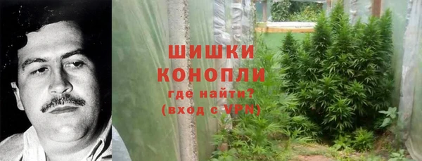 apvp Дмитровск