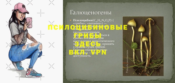 твердый Дмитров