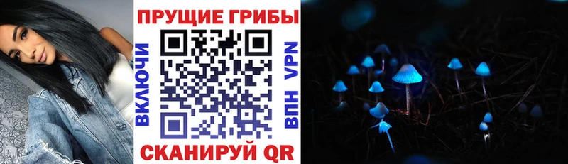 Псилоцибиновые грибы ЛСД  Купить где  Краснослободск 